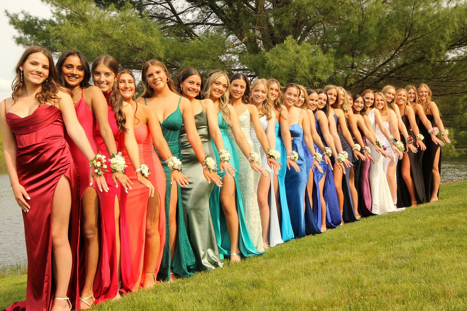 Group of girls is lined up in prom dresses