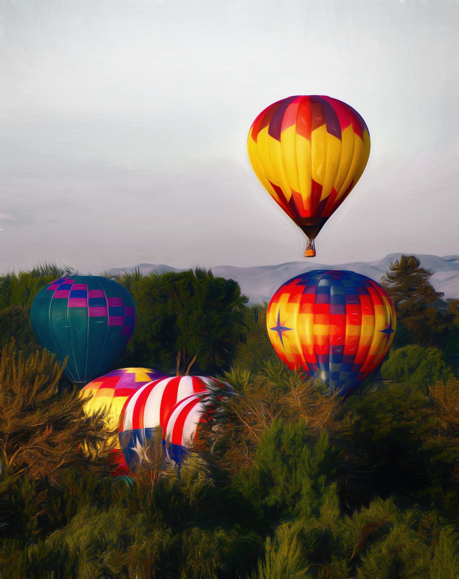 Mark Worthen Photography