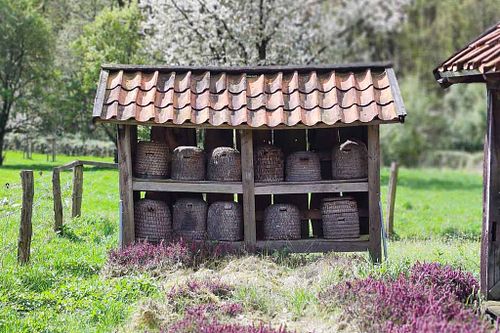 Natur & Umwelt &ndash; Gemeinsam aktiv