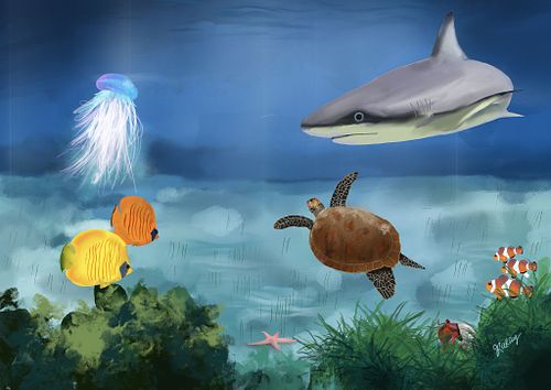 Des commandes spéciales