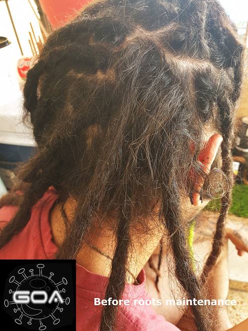 Before roots maintenance