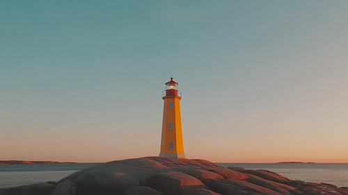 Changemakers and Support Humans