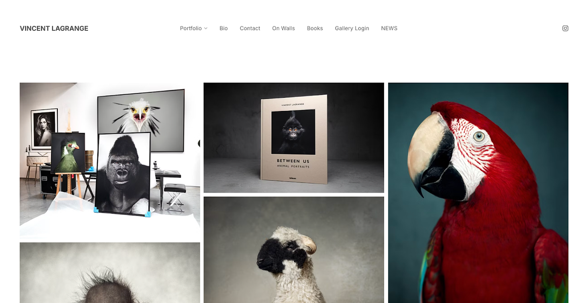 Vincents Website für Tierfotografie