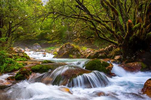 Mountain stream