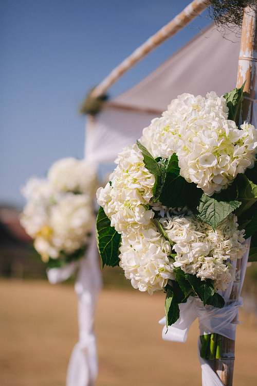 Wedding Ceremony at Narrabeen SLSC