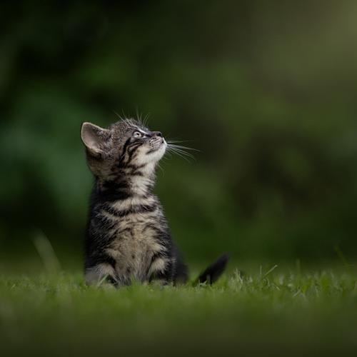 Na de fotoshoot