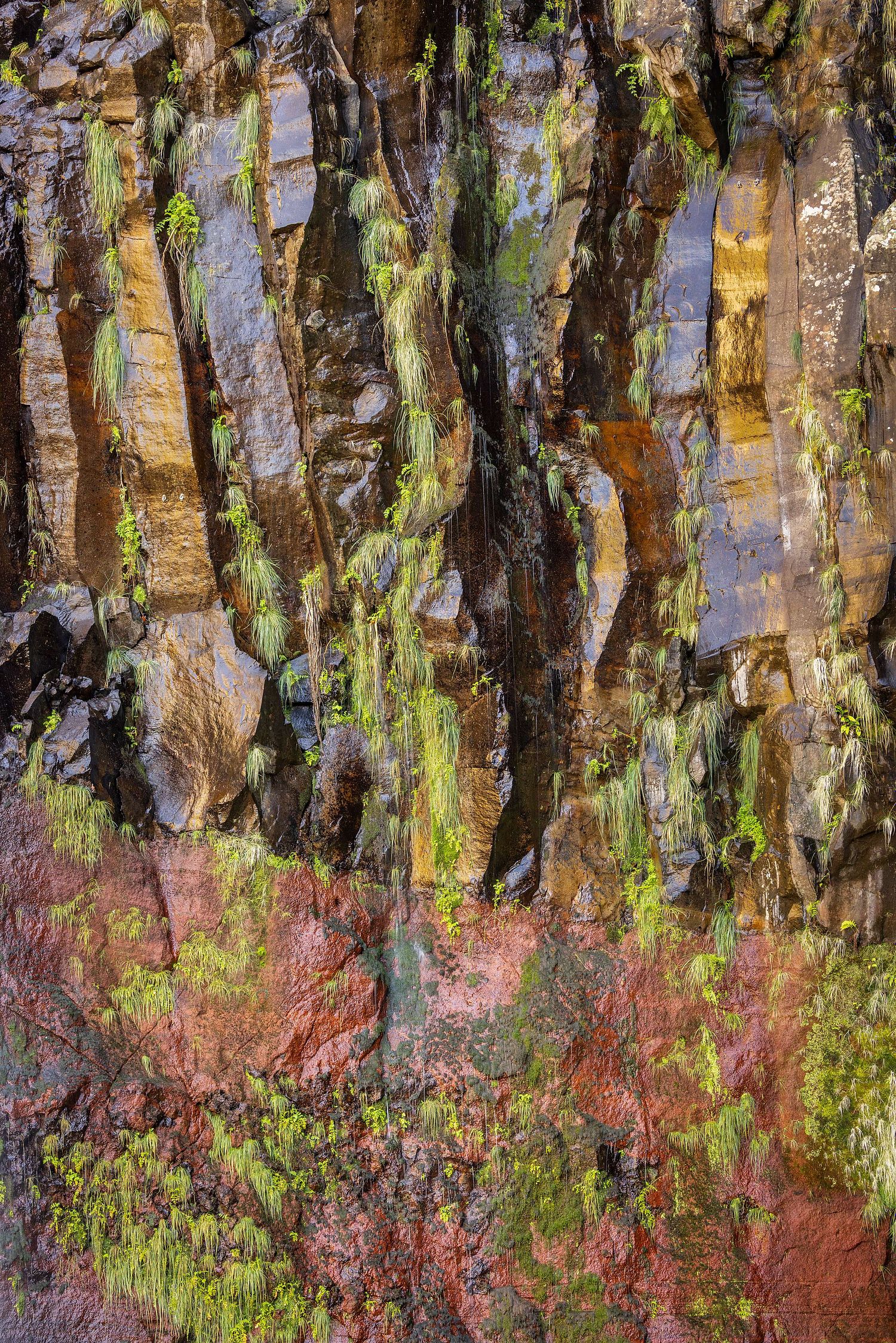 Detail am Risco Wasserfall