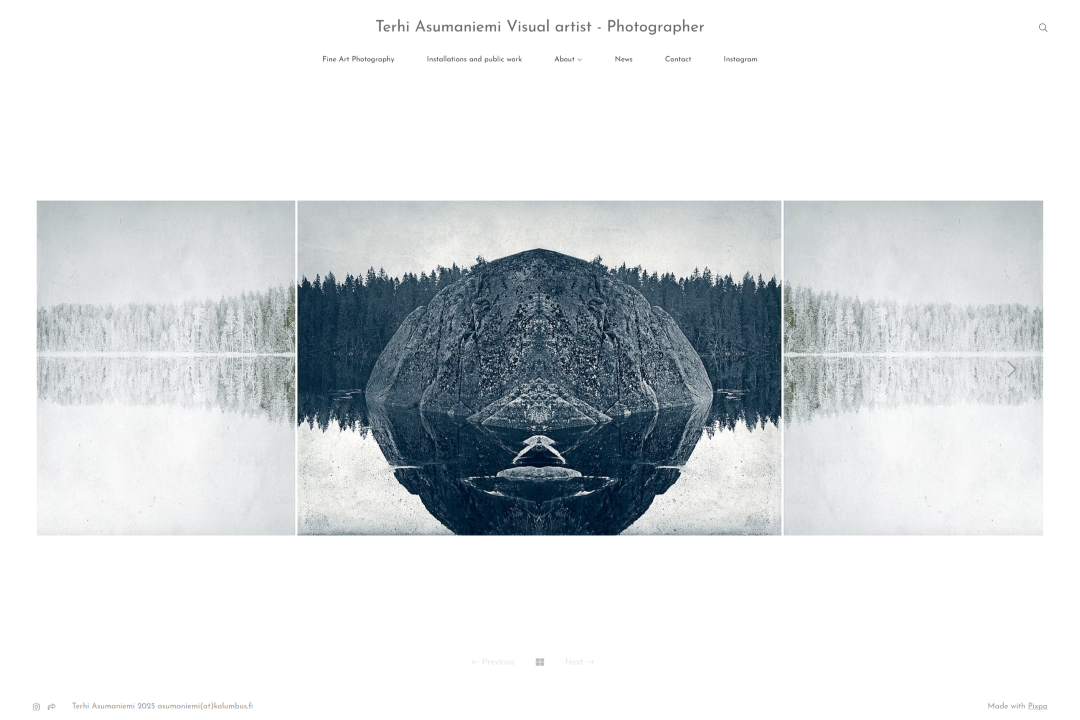 Terhi Asumaniemi Artist Portfolio