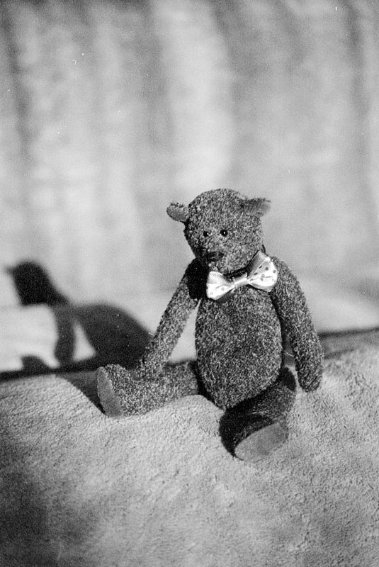BINSKY.BEARS
