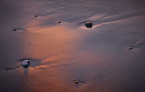 Scouting trip voor Denemarken/Jutland