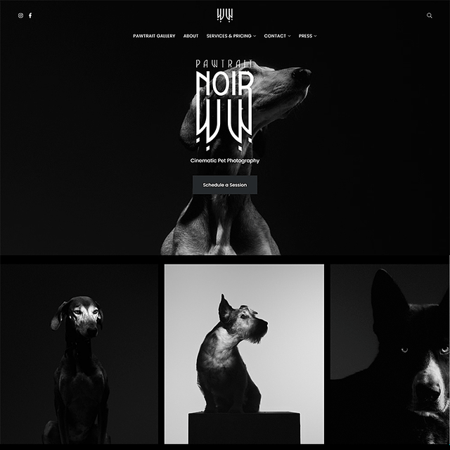 Eiv Portfolio Website Examples