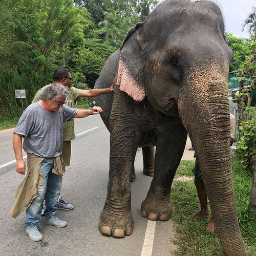 ON THE ROADS OF SRI LANKA