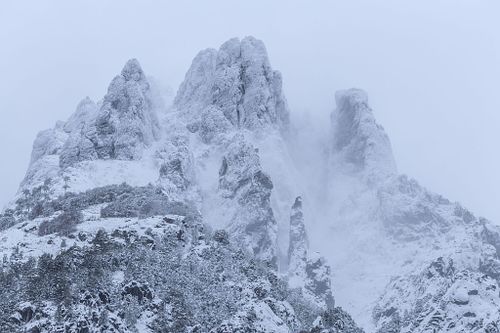 Tour Invernal Pucón y Alrededores