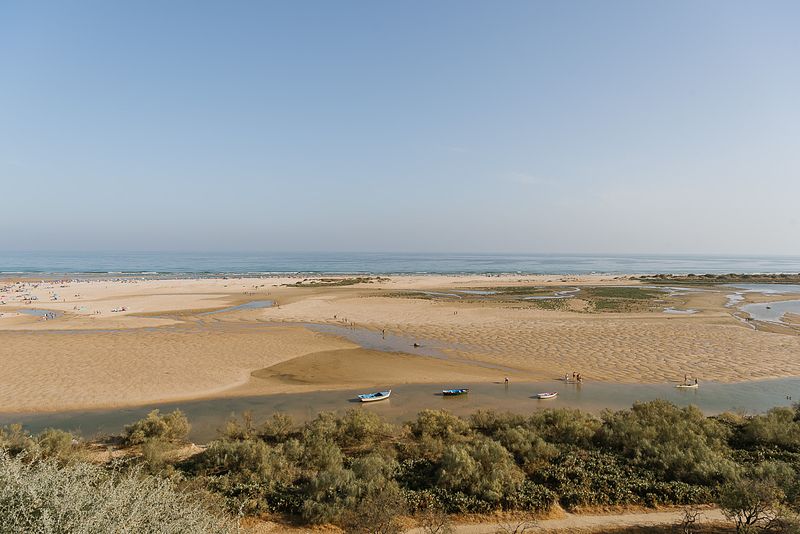 Patrícia & Filipe (gravidez)