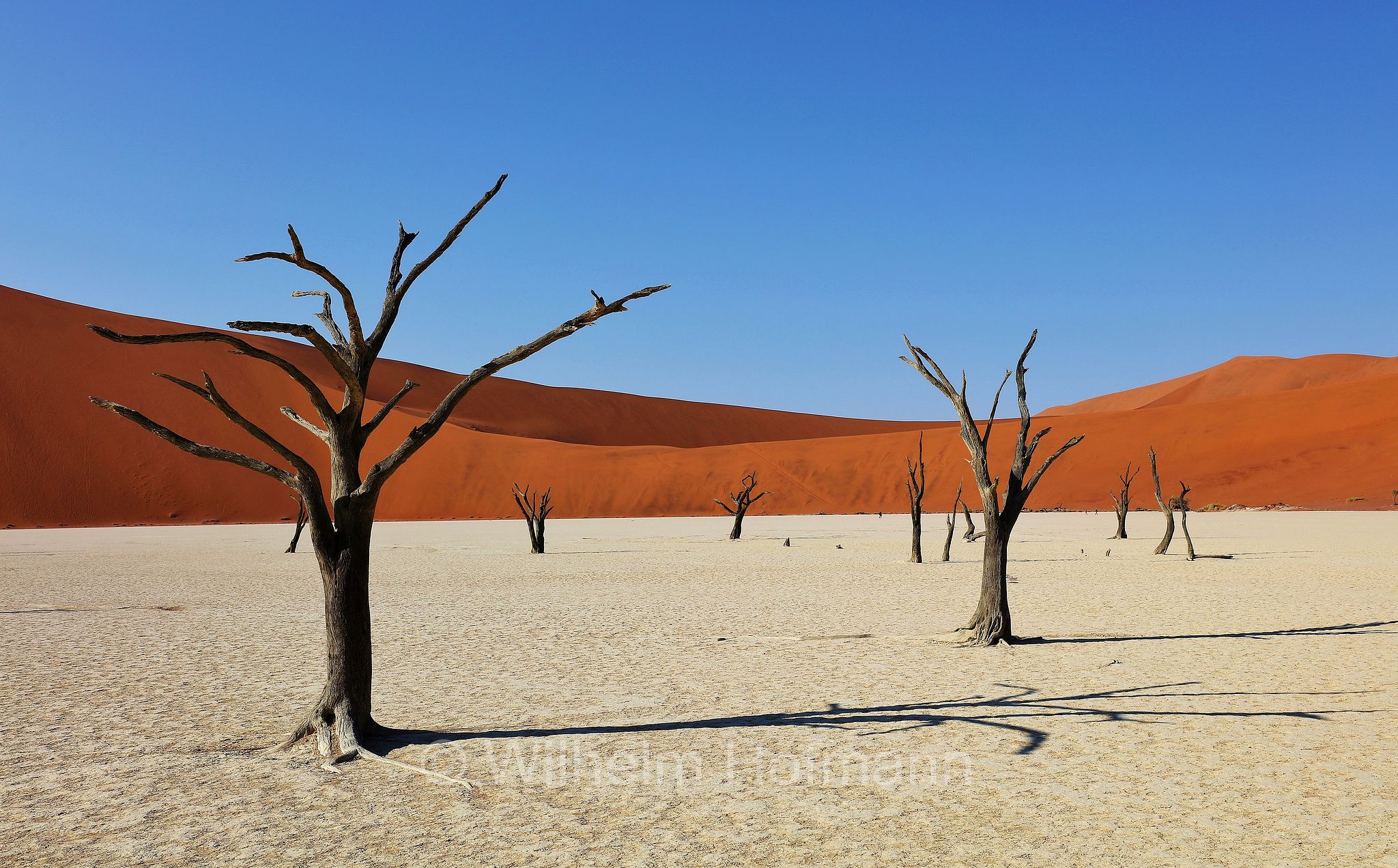 Deadvlei, DeadVlei, Dead Vlei, Dooie Vlei, Sossusvlei, Namib-Naukluft National Park, Namib-Naukluft-Park, parco nazionale di Namib-Naukluft, Namibia