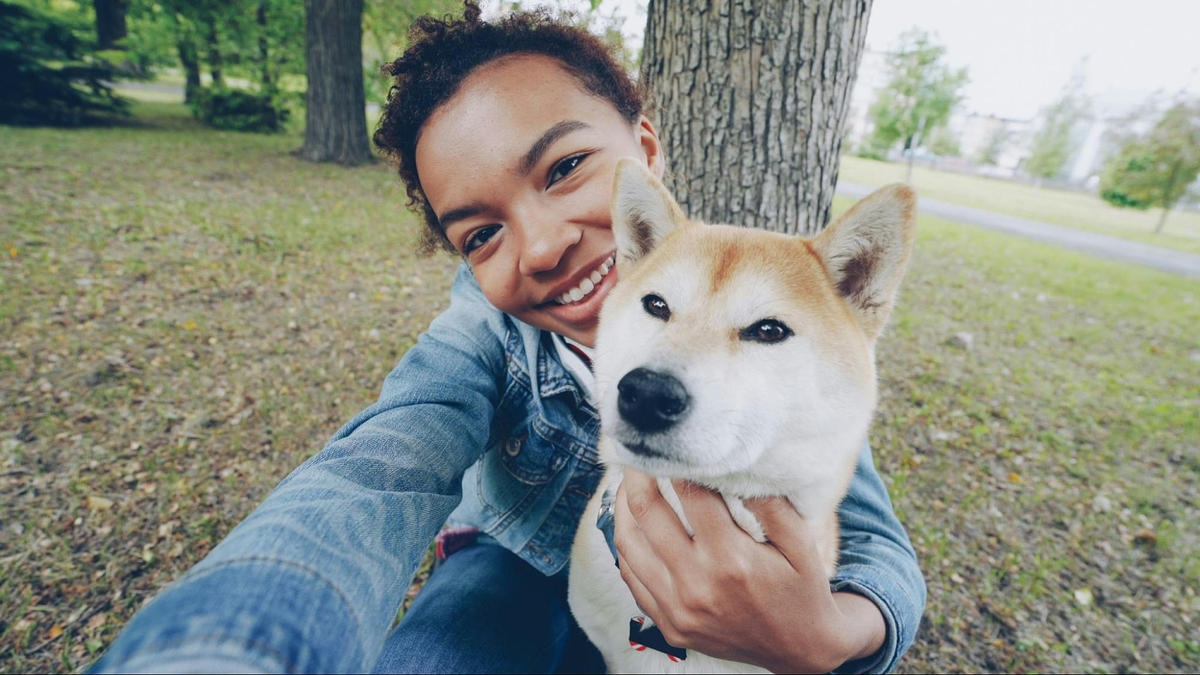 Photographie d'animaux