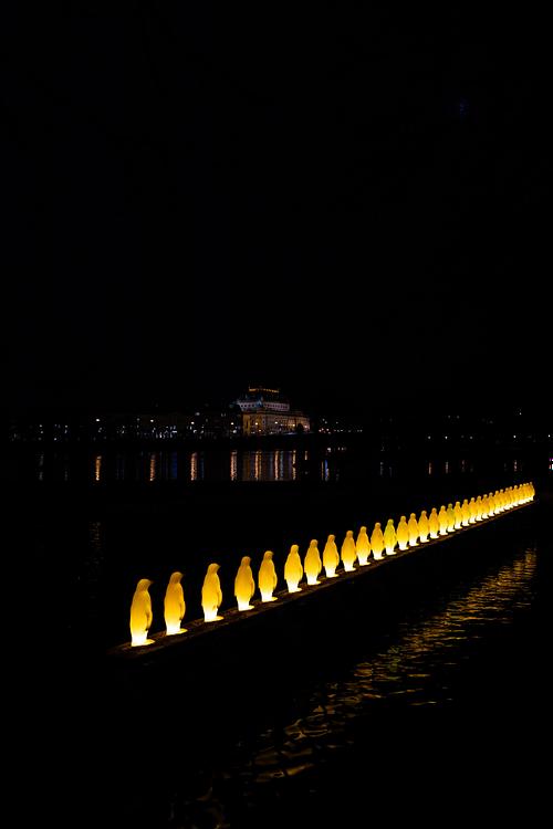 Installation lumineuse des pingouins sur la Vltava avec le Théâtre National en arrière-plan, photographie nocturne minimaliste.