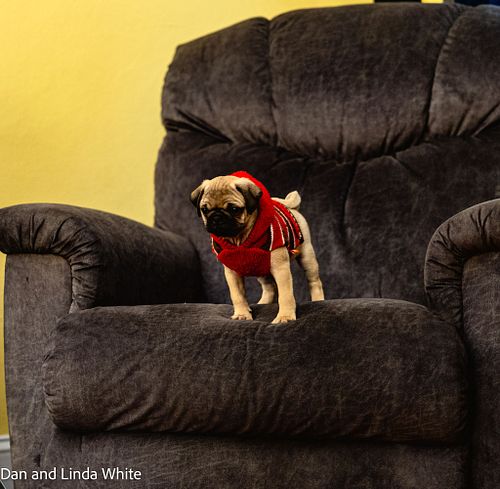 This is my La-Z-Boy Now