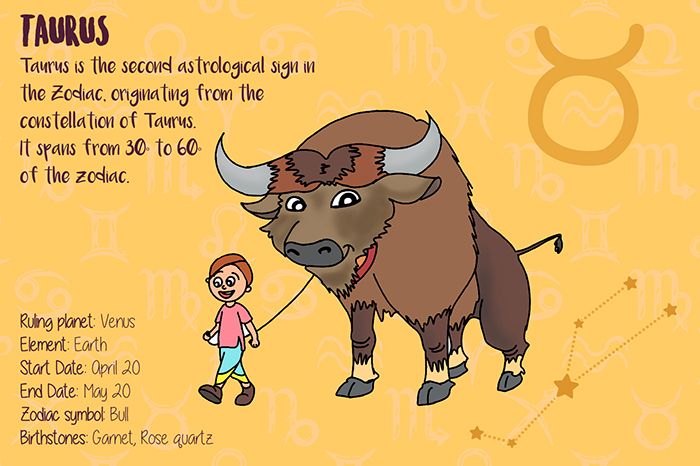 ZODIAC SIGNS - 12 CARDS