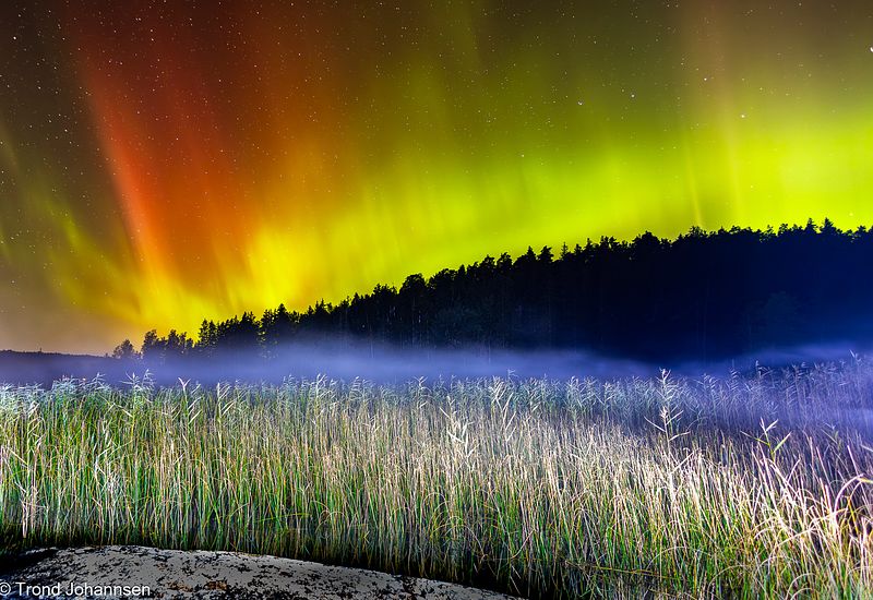 Trond Johansen Fotograf Film Sarpsborg Naturfotograf Sarpsborg Norge Norway Sarpsborg Kommune Østfold Viken Landskap Birdlife Fiskeørn ørn barnefotograf
