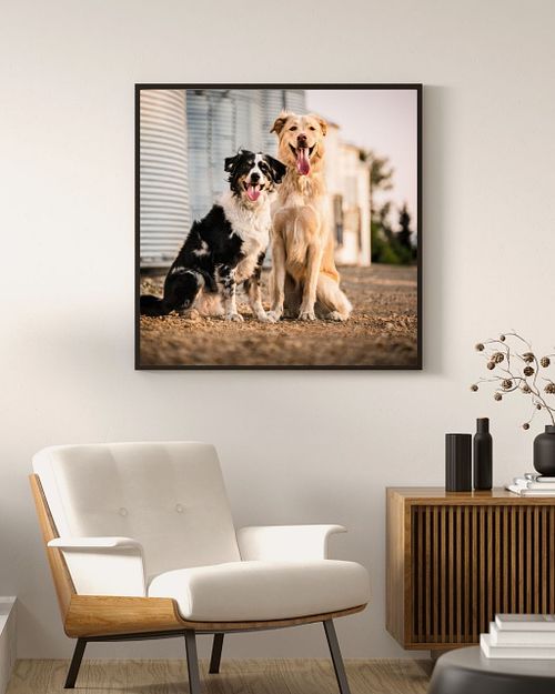 2027 Calendar Contest for Saving Grace Animal Society