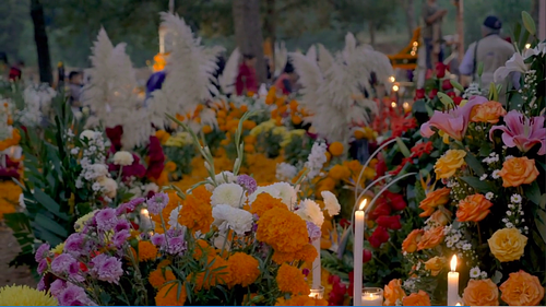 Hypnotheraphy for Amnesia