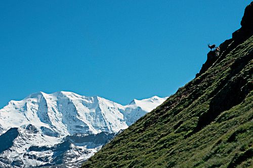 Kapelle Wilder Geschinen