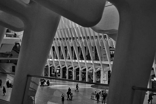 Oculus