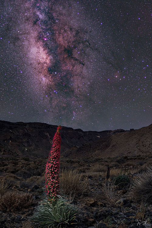 Milky Way Center over Teide National Park